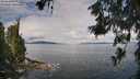./images/koeye/fitz-hugh/20260611/fitz-hugh20260611_101001M.jpg