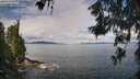 ./images/koeye/fitz-hugh/20260611/fitz-hugh20260611_101502M.jpg