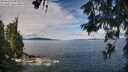 ./images/koeye/fitz-hugh/20260611/fitz-hugh20260611_103501M.jpg