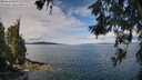 ./images/koeye/fitz-hugh/20260611/fitz-hugh20260611_104001M.jpg