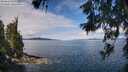 ./images/koeye/fitz-hugh/20260611/fitz-hugh20260611_104502M.jpg