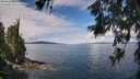 ./images/koeye/fitz-hugh/20260611/fitz-hugh20260611_105001M.jpg