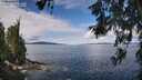 ./images/koeye/fitz-hugh/20260611/fitz-hugh20260611_105501M.jpg