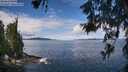 ./images/koeye/fitz-hugh/20260611/fitz-hugh20260611_111001M.jpg