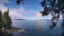./images/koeye/fitz-hugh/20260611/fitz-hugh20260611_111502M.jpg