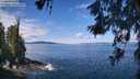 ./images/koeye/fitz-hugh/20260611/fitz-hugh20260611_112501M.jpg