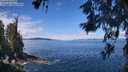 ./images/koeye/fitz-hugh/20260611/fitz-hugh20260611_113001M.jpg
