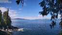 ./images/koeye/fitz-hugh/20260611/fitz-hugh20260611_113501M.jpg