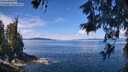 ./images/koeye/fitz-hugh/20260611/fitz-hugh20260611_114002M.jpg