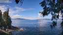 ./images/koeye/fitz-hugh/20260611/fitz-hugh20260611_115002M.jpg