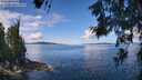 ./images/koeye/fitz-hugh/20260611/fitz-hugh20260611_115501M.jpg