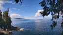 ./images/koeye/fitz-hugh/20260611/fitz-hugh20260611_120501M.jpg