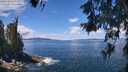 ./images/koeye/fitz-hugh/20260611/fitz-hugh20260611_122501M.jpg