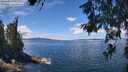 ./images/koeye/fitz-hugh/20260611/fitz-hugh20260611_123001M.jpg
