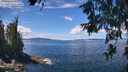 ./images/koeye/fitz-hugh/20260611/fitz-hugh20260611_123501M.jpg