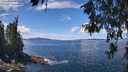 ./images/koeye/fitz-hugh/20260611/fitz-hugh20260611_124001M.jpg