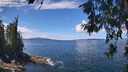 ./images/koeye/fitz-hugh/20260611/fitz-hugh20260611_124501M.jpg
