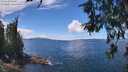 ./images/koeye/fitz-hugh/20260611/fitz-hugh20260611_125501M.jpg