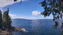 ./images/koeye/fitz-hugh/20260611/fitz-hugh20260611_130001M.jpg