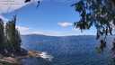 ./images/koeye/fitz-hugh/20260611/fitz-hugh20260611_130501M.jpg