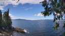 ./images/koeye/fitz-hugh/20260611/fitz-hugh20260611_134002M.jpg
