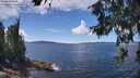 ./images/koeye/fitz-hugh/20260611/fitz-hugh20260611_135001M.jpg