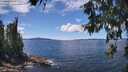 ./images/koeye/fitz-hugh/20260611/fitz-hugh20260611_140001M.jpg