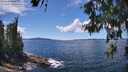 ./images/koeye/fitz-hugh/20260611/fitz-hugh20260611_140501M.jpg