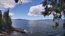 ./images/koeye/fitz-hugh/20260611/fitz-hugh20260611_142001M.jpg
