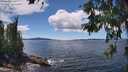 ./images/koeye/fitz-hugh/20260611/fitz-hugh20260611_142502M.jpg