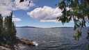 ./images/koeye/fitz-hugh/20260611/fitz-hugh20260611_143002M.jpg
