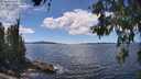 ./images/koeye/fitz-hugh/20260611/fitz-hugh20260611_143501M.jpg
