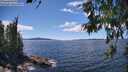 ./images/koeye/fitz-hugh/20260611/fitz-hugh20260611_144502M.jpg