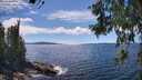 ./images/koeye/fitz-hugh/20260611/fitz-hugh20260611_151501M.jpg