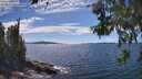 ./images/koeye/fitz-hugh/20260611/fitz-hugh20260611_152501M.jpg