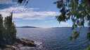 ./images/koeye/fitz-hugh/20260611/fitz-hugh20260611_154502M.jpg