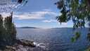 ./images/koeye/fitz-hugh/20260611/fitz-hugh20260611_155001M.jpg