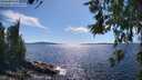 ./images/koeye/fitz-hugh/20260611/fitz-hugh20260611_162501M.jpg