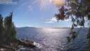./images/koeye/fitz-hugh/20260611/fitz-hugh20260611_165001M.jpg