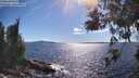 ./images/koeye/fitz-hugh/20260611/fitz-hugh20260611_165501M.jpg