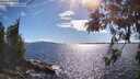 ./images/koeye/fitz-hugh/20260611/fitz-hugh20260611_171001M.jpg