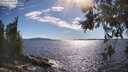 ./images/koeye/fitz-hugh/20260611/fitz-hugh20260611_171501M.jpg