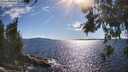 ./images/koeye/fitz-hugh/20260611/fitz-hugh20260611_172001M.jpg