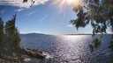 ./images/koeye/fitz-hugh/20260611/fitz-hugh20260611_172501M.jpg