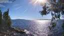 ./images/koeye/fitz-hugh/20260611/fitz-hugh20260611_173002M.jpg