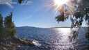./images/koeye/fitz-hugh/20260611/fitz-hugh20260611_181001M.jpg