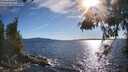 ./images/koeye/fitz-hugh/20260611/fitz-hugh20260611_182001M.jpg