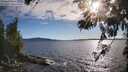 ./images/koeye/fitz-hugh/20260611/fitz-hugh20260611_183501M.jpg