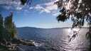 ./images/koeye/fitz-hugh/20260611/fitz-hugh20260611_185001M.jpg