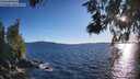 ./images/koeye/fitz-hugh/20260611/fitz-hugh20260611_194501M.jpg